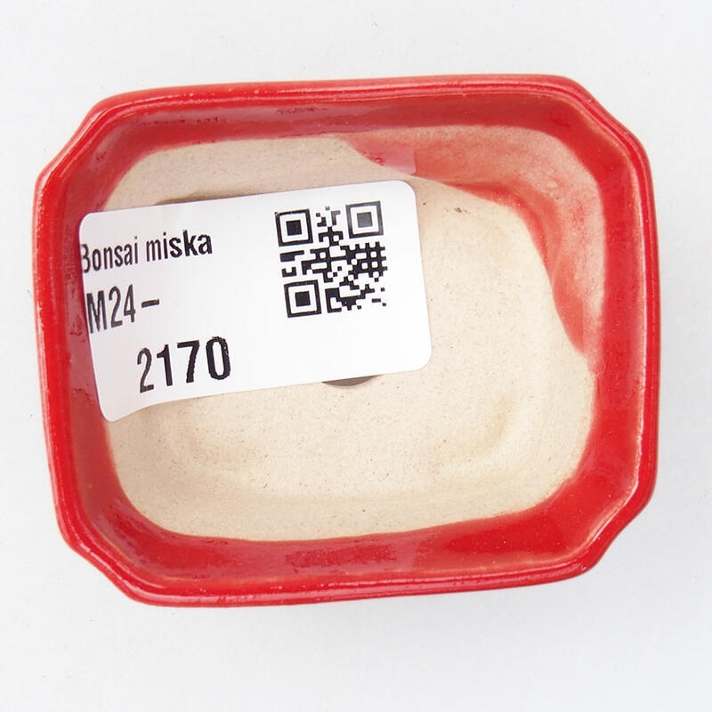 Mini cuenco bonsái 5,5 x 4,5 x 2 cm, color rojo