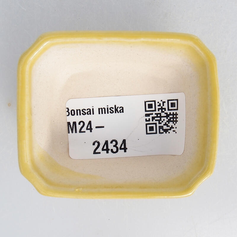 Cuenco mini bonsái 5,5 x 4,5 x 2 cm, amarillo