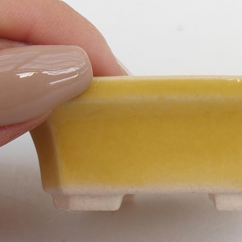 Cuenco mini bonsái 5,5 x 4,5 x 2 cm, amarillo