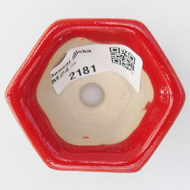 Mini cuenco bonsái 5,5 x 4,5 x 3 cm, color rojo