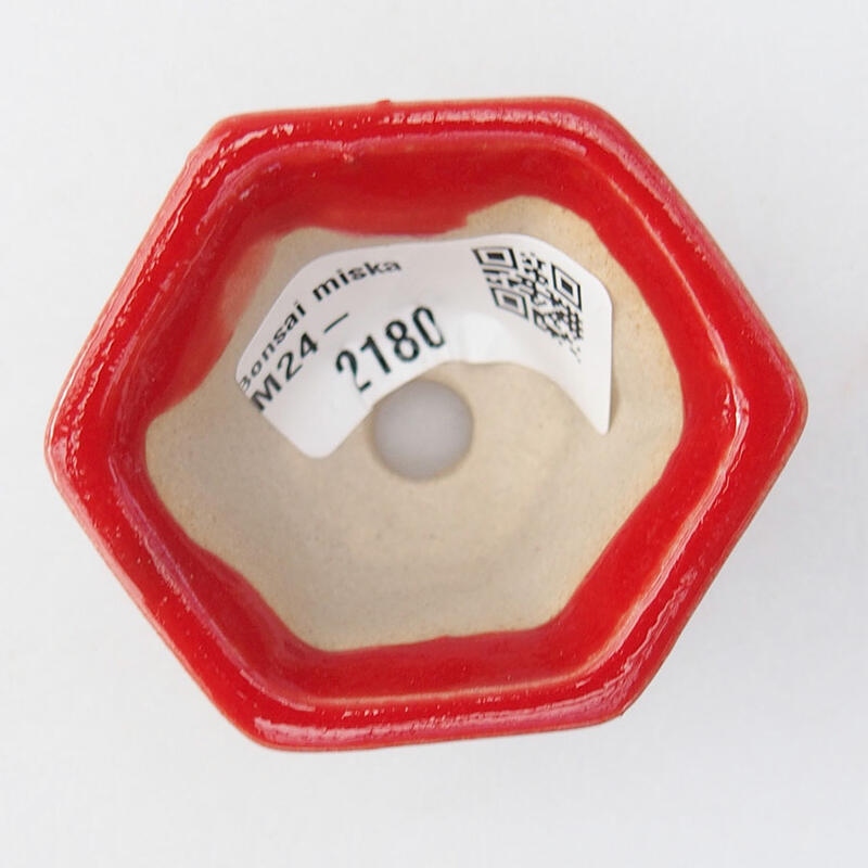 Mini cuenco bonsái 5,5 x 4,5 x 3 cm, color rojo