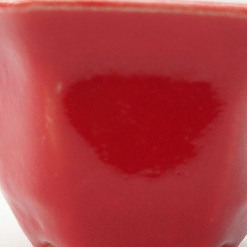 Mini cuenco bonsái 5,5 x 4,5 x 3 cm, color rojo
