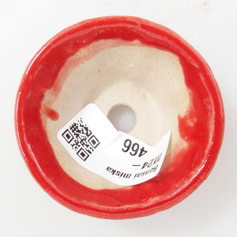 Mini cuenco bonsái 5,5 x 5,5 x 2,5 cm, color rojo