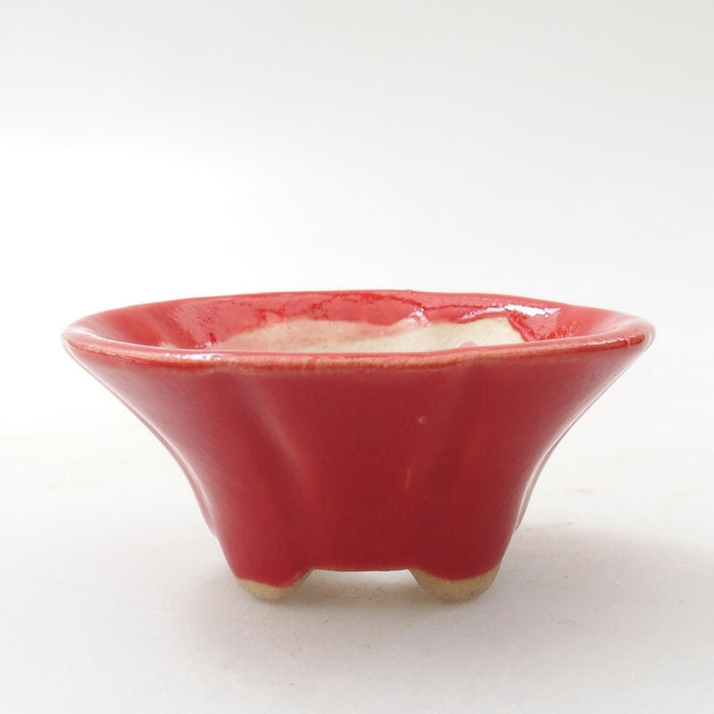 Mini cuenco bonsái 5,5 x 5,5 x 2,5 cm, color rojo