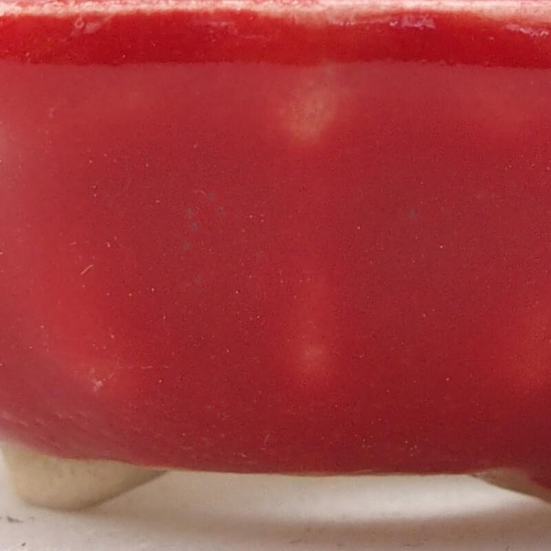 Mini cuenco bonsái 5,5 x 5,5 x 2 cm, color rojo