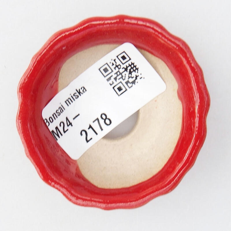 Mini cuenco bonsái 5,5 x 5,5 x 2 cm, color rojo