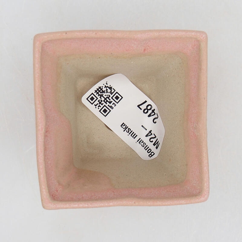 Mini cuenco bonsái 5,5 x 5,5 x 3,5 cm, rosa