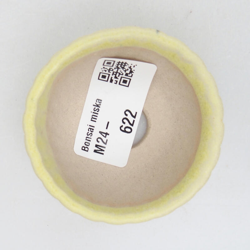 Cuenco mini bonsái 5,5 x 5,5 x 3 cm, verde
