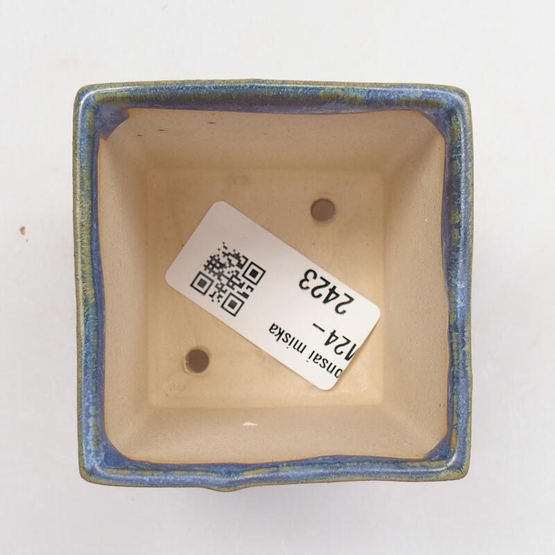 Cuenco mini bonsái 5,5 x 5,5 x 6,5 cm, color azul