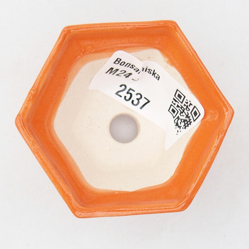 Mini cuenco bonsái 5,5 x 5 x 3 cm, naranja
