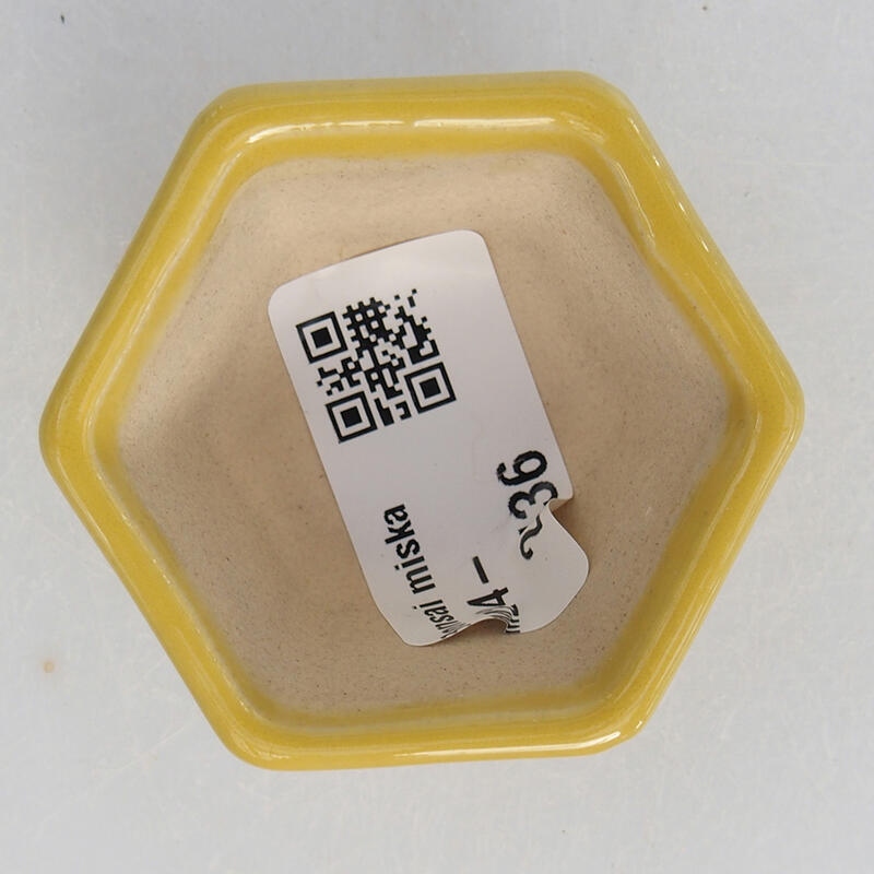 Cuenco mini bonsái 5,5 x 5 x 3 cm, amarillo