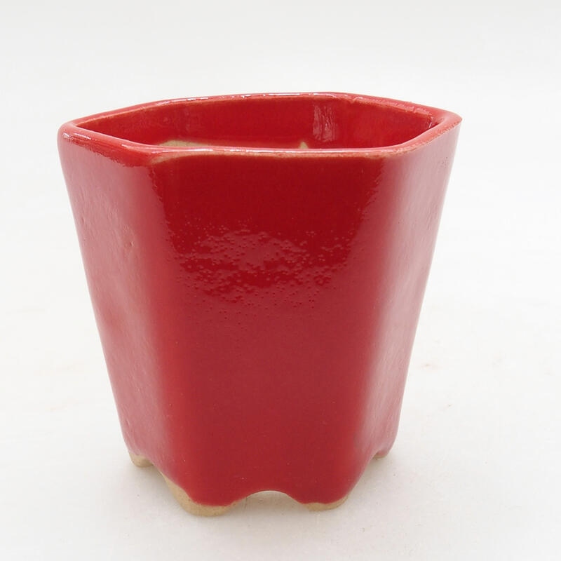 Mini cuenco bonsái 5,5 x 5 x 5 cm, color rojo