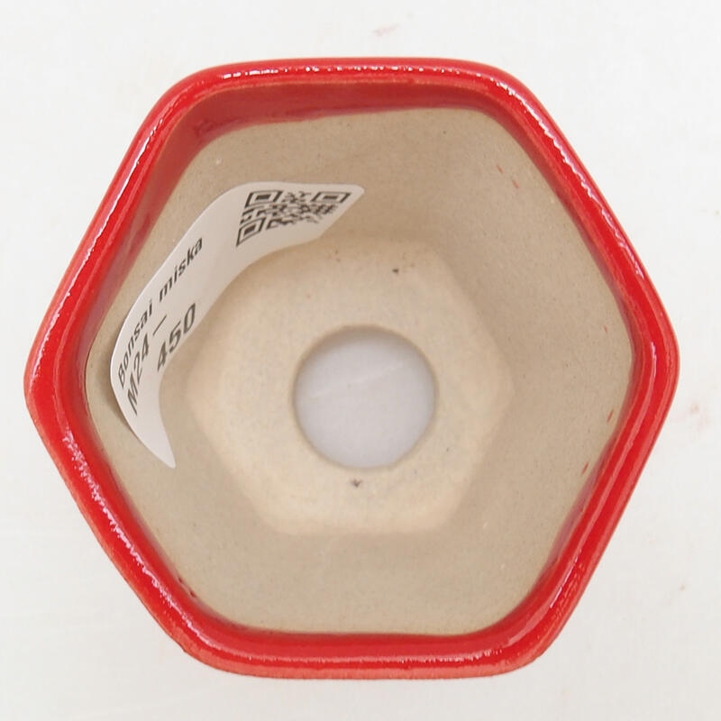 Mini cuenco bonsái 5,5 x 5 x 5 cm, color rojo