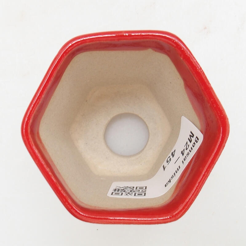 Mini cuenco bonsái 5,5 x 5 x 5 cm, color rojo