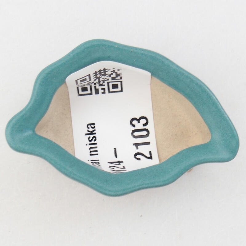 Mini cuenco bonsái 5 x 3,5 x 2 cm, color azul