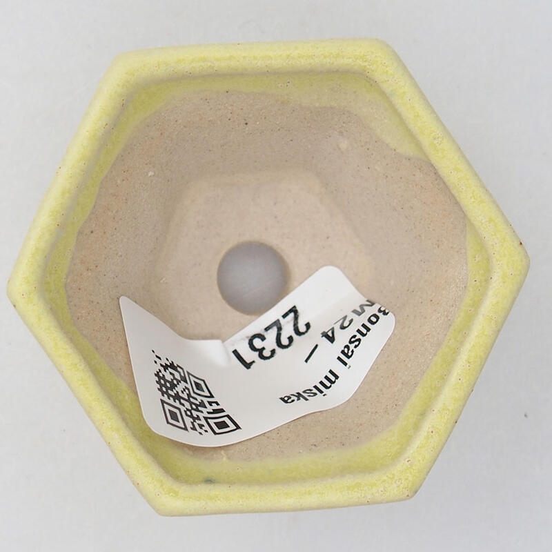 Cuenco mini bonsái 5 x 5 x 2,5 cm, amarillo