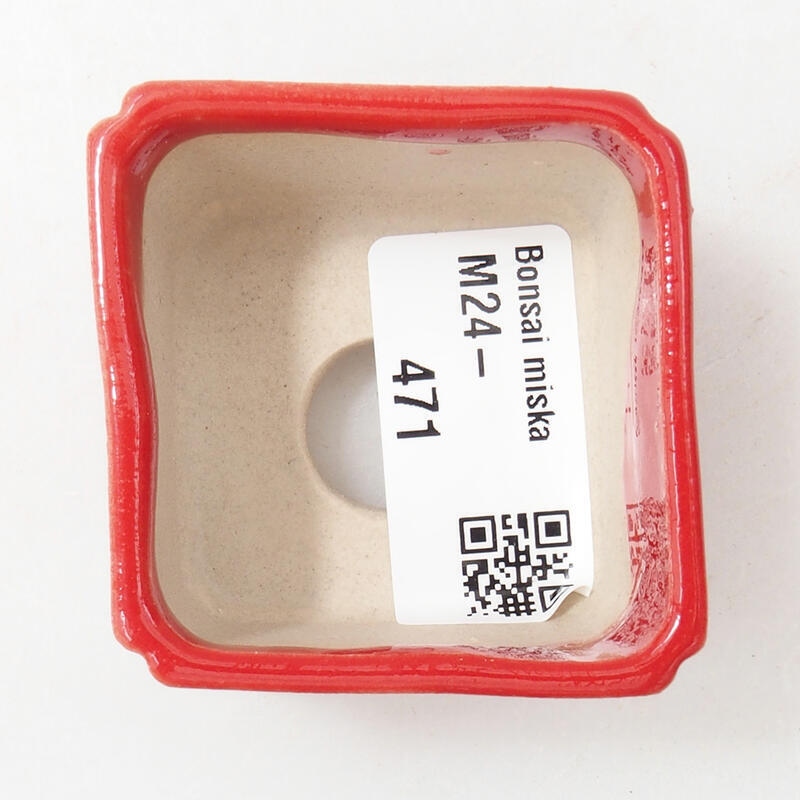 Mini cuenco bonsái 5 x 5 x 3,5 cm, color rojo