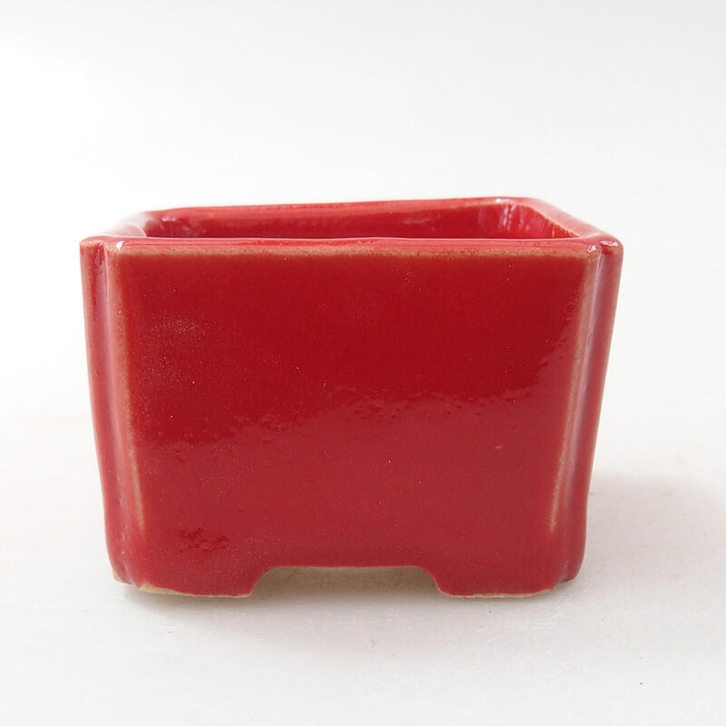 Mini cuenco bonsái 5 x 5 x 3,5 cm, color rojo