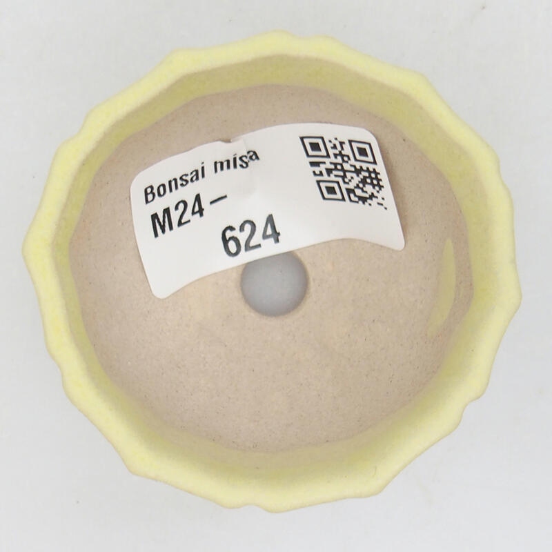 Cuenco mini bonsái 5 x 5 x 3,5 cm, verde