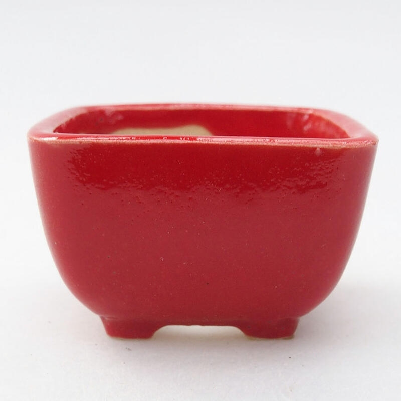 Mini cuenco bonsái 5 x 5 x 3 cm, color rojo