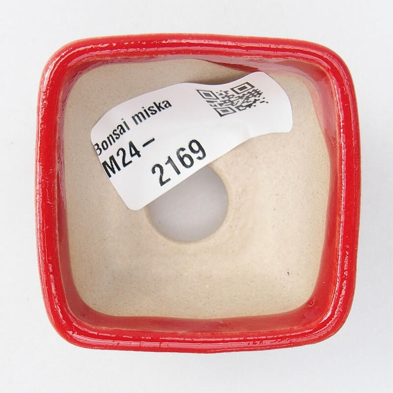 Mini cuenco bonsái 5 x 5 x 3 cm, color rojo