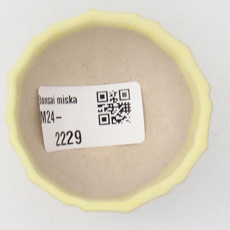 Cuenco mini bonsái 5 x 5 x 3 cm, amarillo