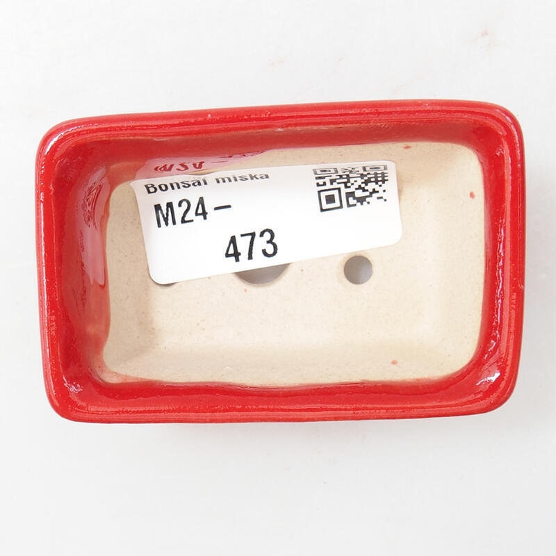 Cuenco mini bonsái 6,5 x 4 x 2,5 cm, color rojo