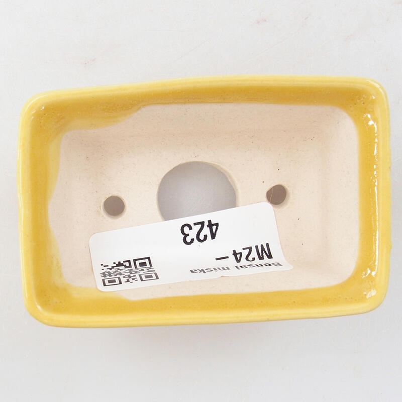 Cuenco mini bonsái 6,5 x 4 x 2,5 cm, amarillo