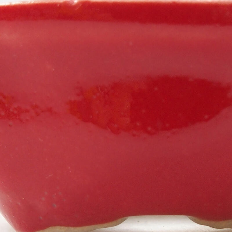 Cuenco mini bonsái 6,5 x 6,5 x 2,5 cm, color rojo