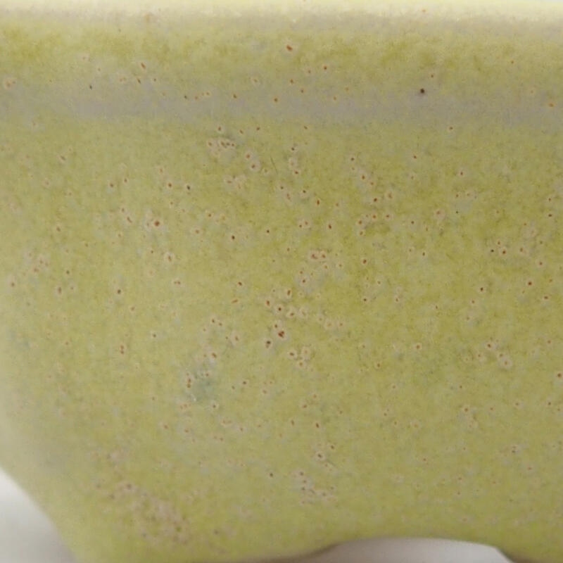 Cuenco mini bonsái 6,5 x 6,5 x 2,5 cm, verde