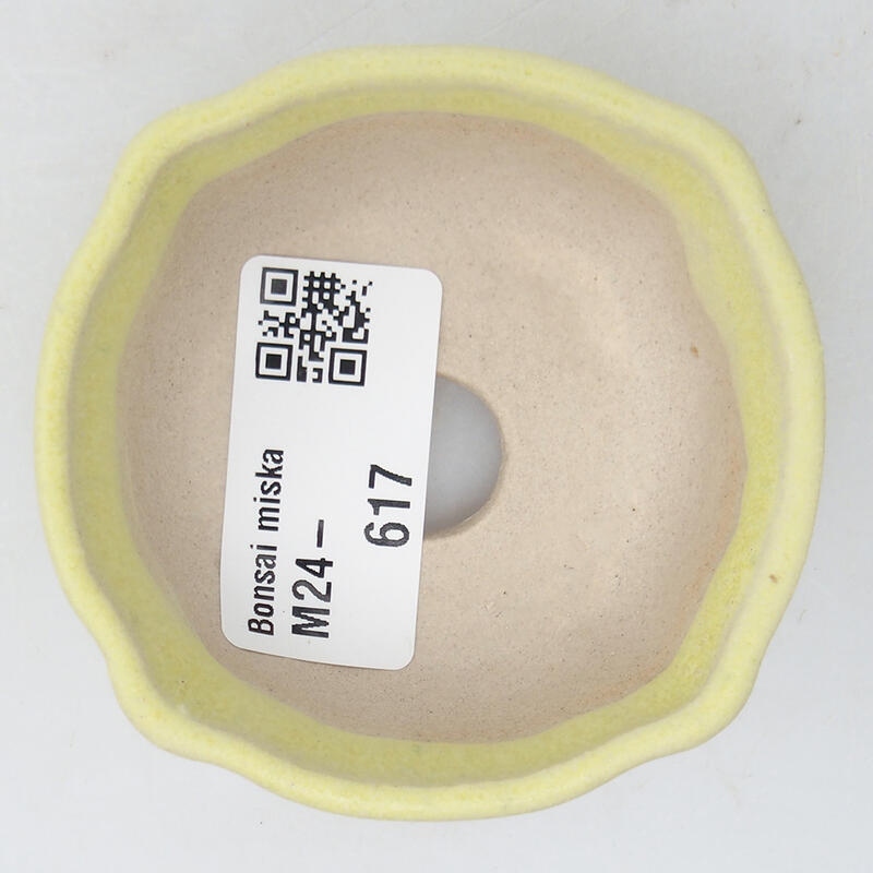 Cuenco mini bonsái 6,5 x 6,5 x 2,5 cm, verde