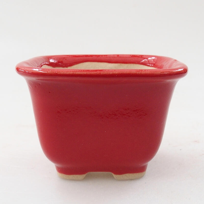 Cuenco mini bonsái 6,5 x 6,5 x 4,5 cm, color rojo