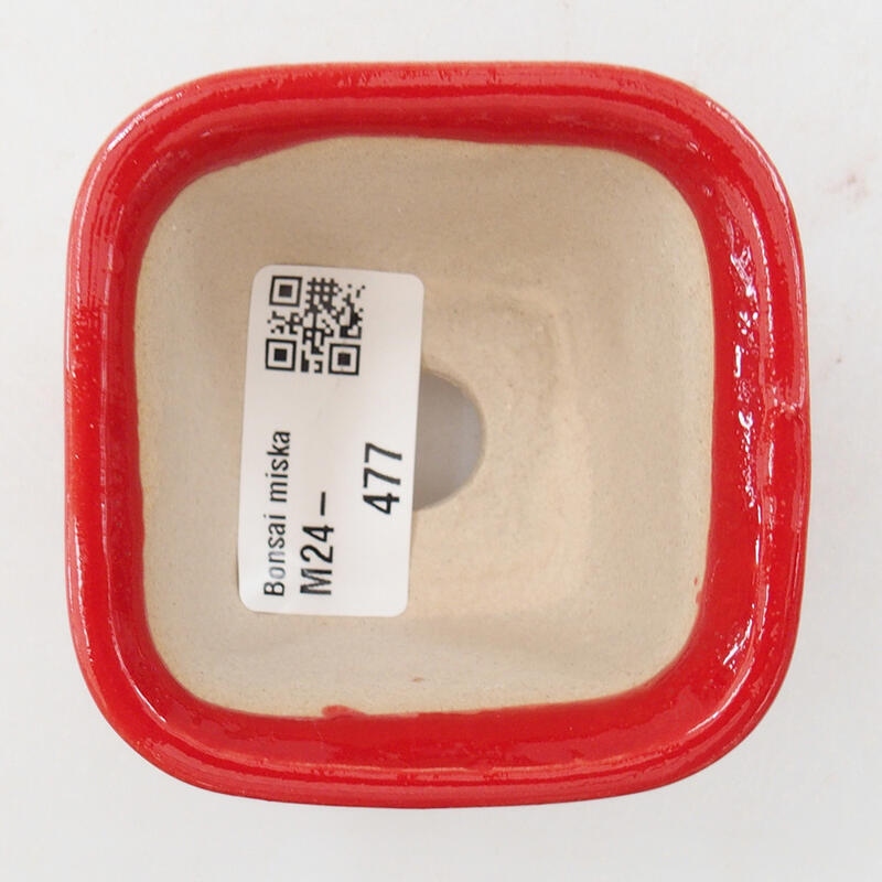 Cuenco mini bonsái 6,5 x 6,5 x 4,5 cm, color rojo