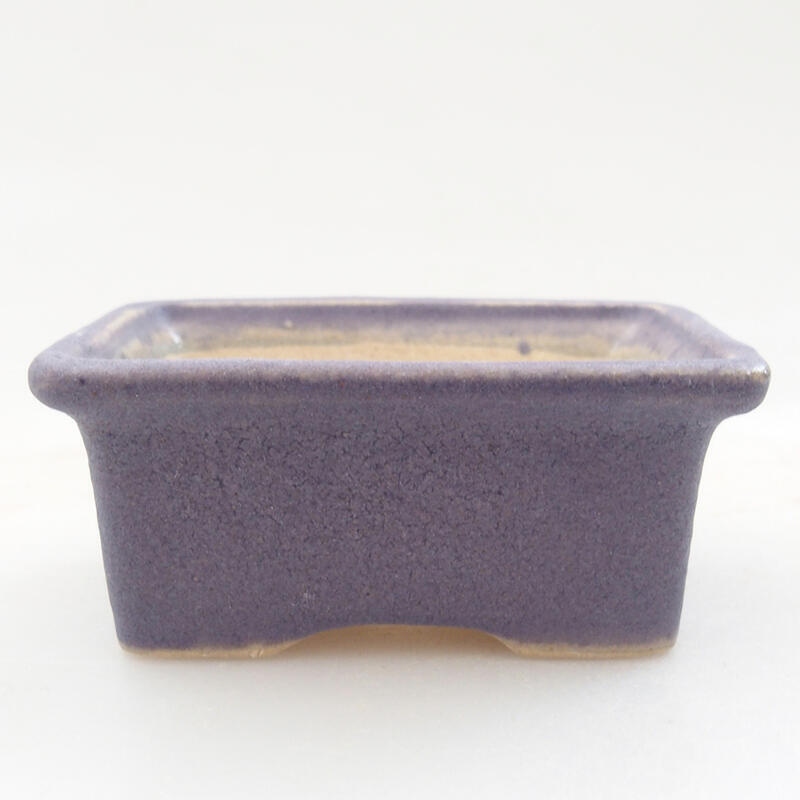 Mini cuenco bonsái 6 x 4,5 x 2,5 cm, color morado