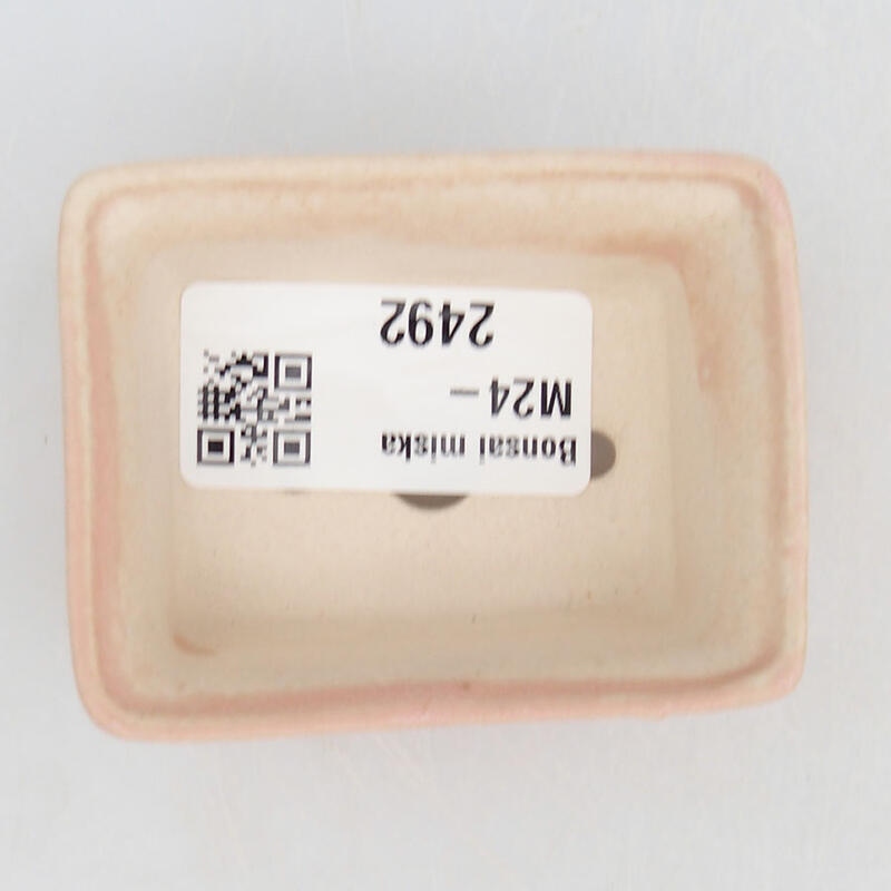 Cuenco mini bonsái 6 x 4,5 x 2,5 cm, rosa