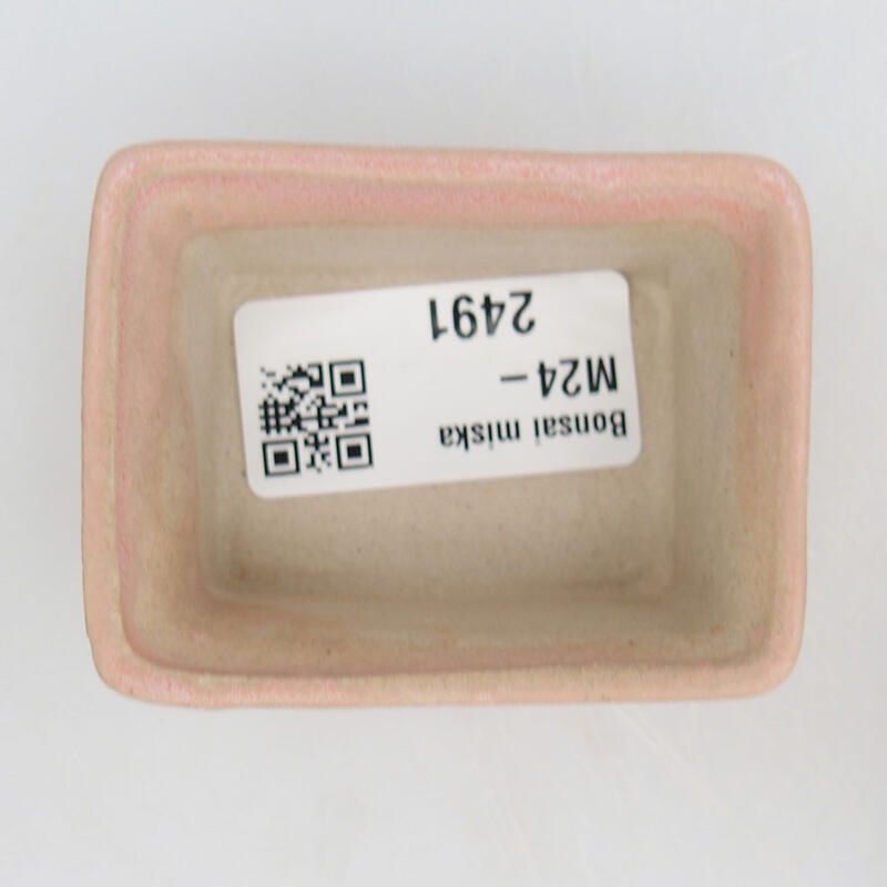 Cuenco mini bonsái 6 x 4,5 x 2,5 cm, rosa