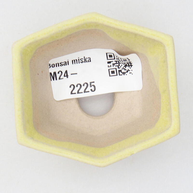 Cuenco mini bonsái 6 x 5,5 x 2 cm, amarillo