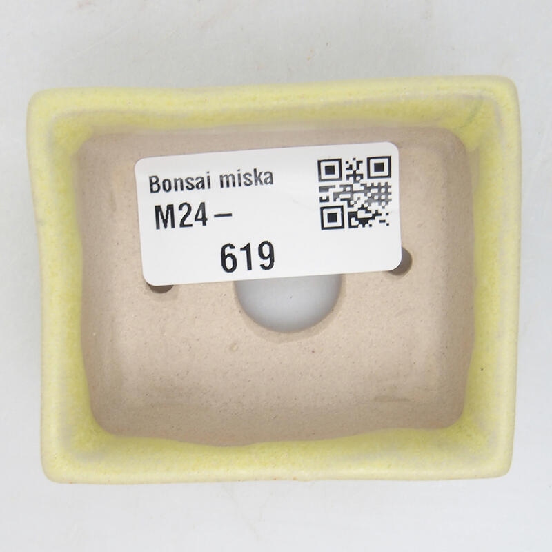 Cuenco mini bonsái 6 x 5 x 2,5 cm, verde