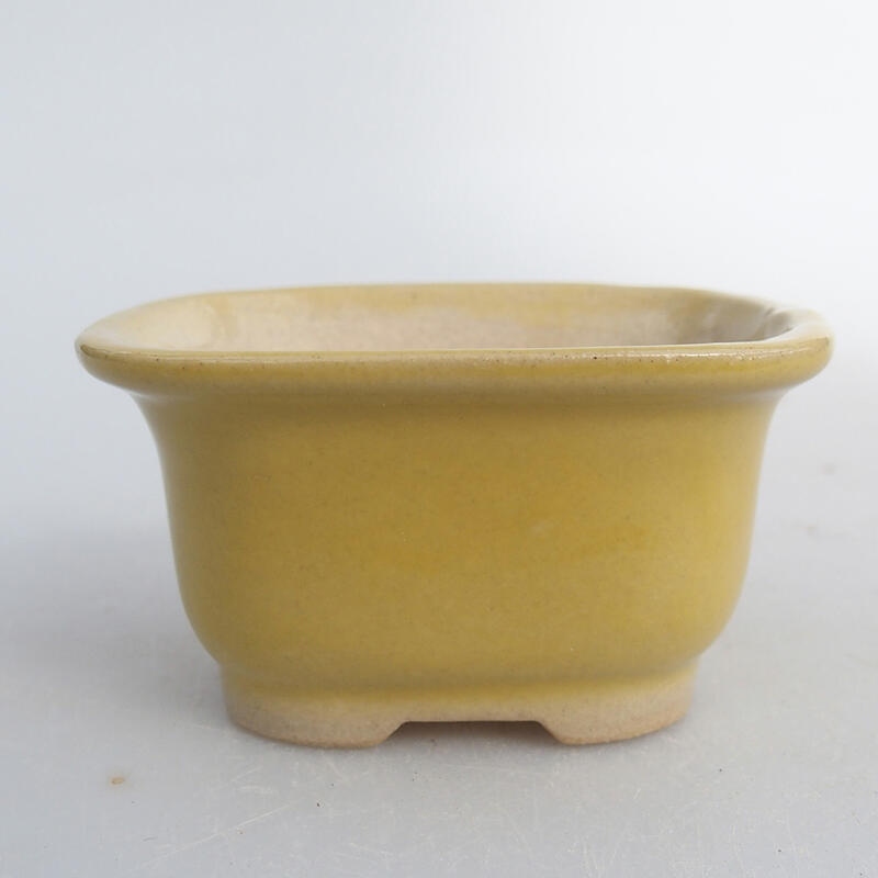 Cuenco mini bonsái 6 x 5 x 3 cm, amarillo