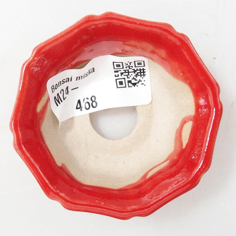 Cuenco mini bonsái 6 x 6 x 2,5 cm, color rojo