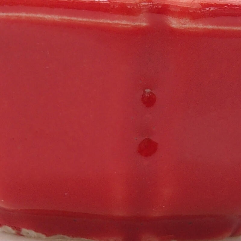 Cuenco mini bonsái 6 x 6 x 2,5 cm, color rojo