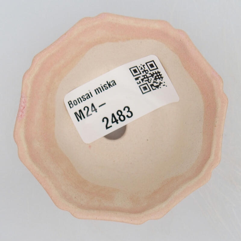 Cuenco mini bonsái 6 x 6 x 2,5 cm, rosa