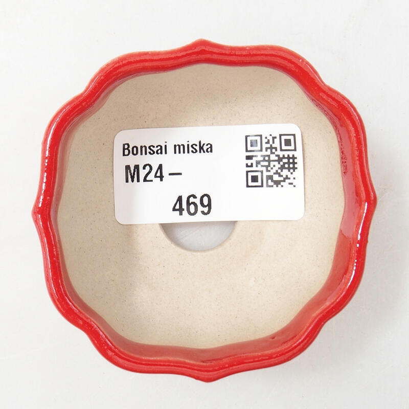 Cuenco mini bonsái 6 x 6 x 3 cm, color rojo