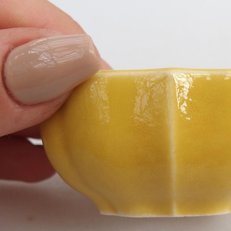 Cuenco mini bonsái 6 x 6 x 3 cm, amarillo