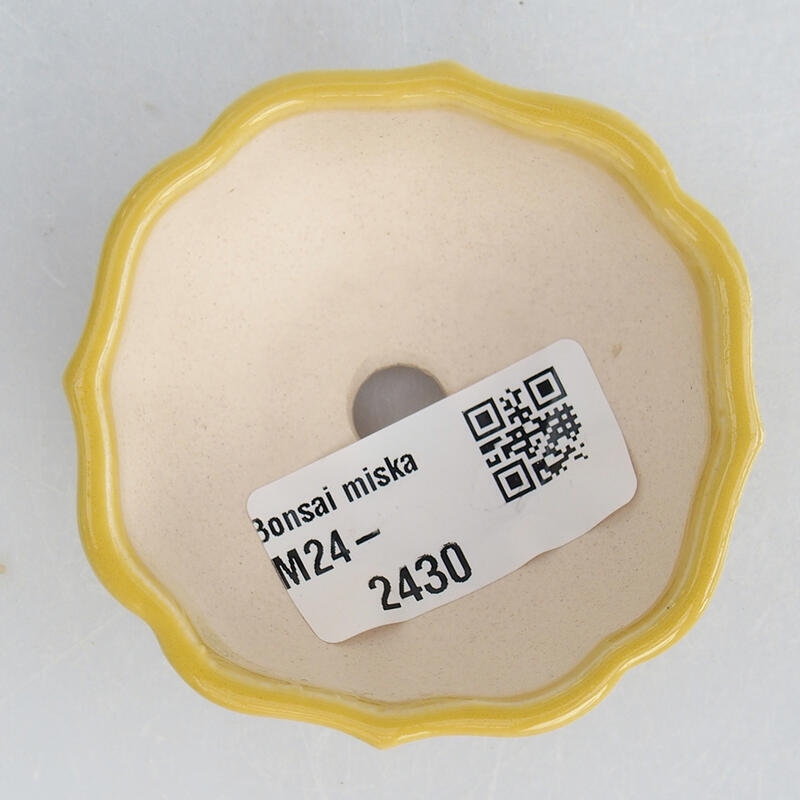 Cuenco mini bonsái 6 x 6 x 3 cm, amarillo