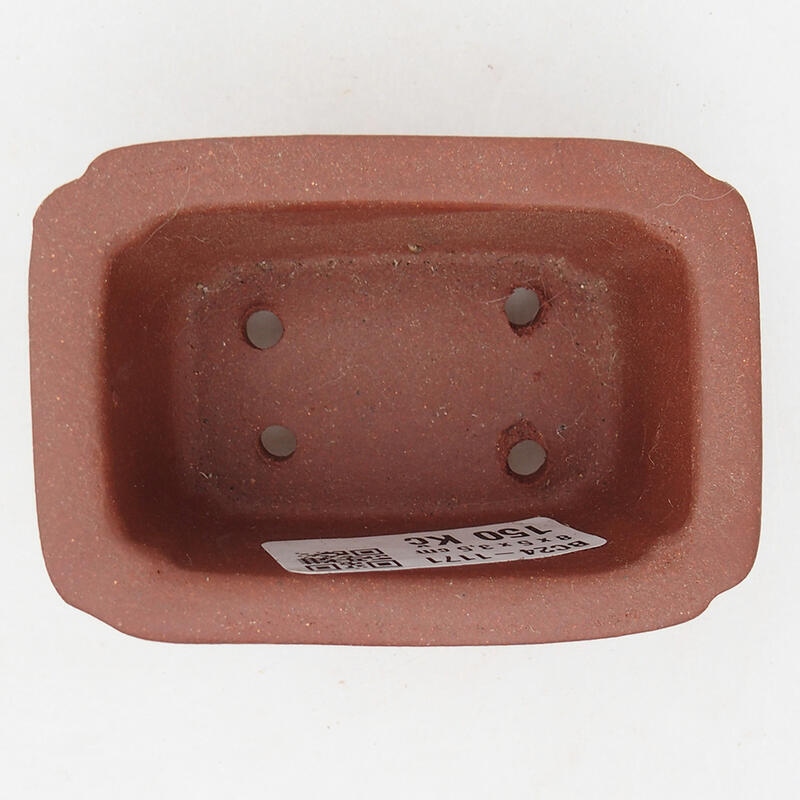 Mini cuenco bonsái 8 x 5,5 x 4 cm, color teja