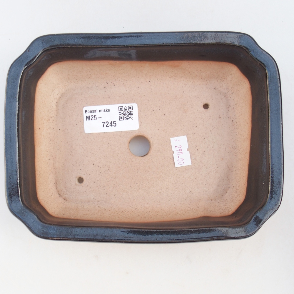 Cuenco bonsái de cerámica 18 x 13,5 x 5 cm, color negro