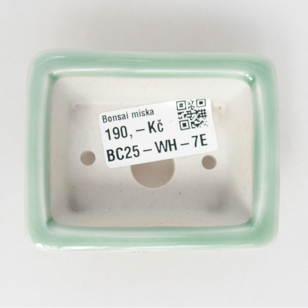 Cuenco mini bonsái 8 x 6 x 3 cm, verde
