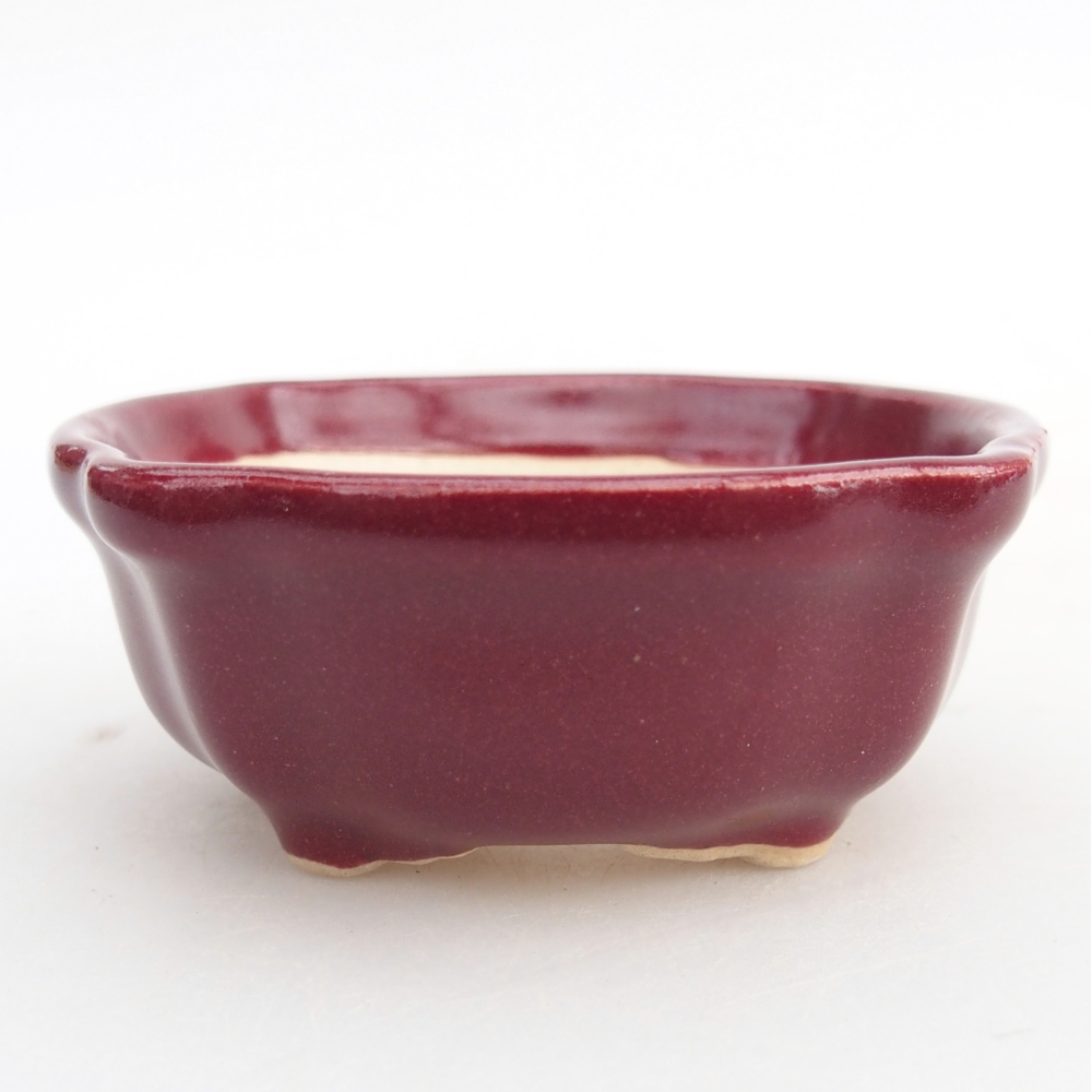 Cuenco mini bonsái 6,5 x 6,5 x 3 cm, burdeos