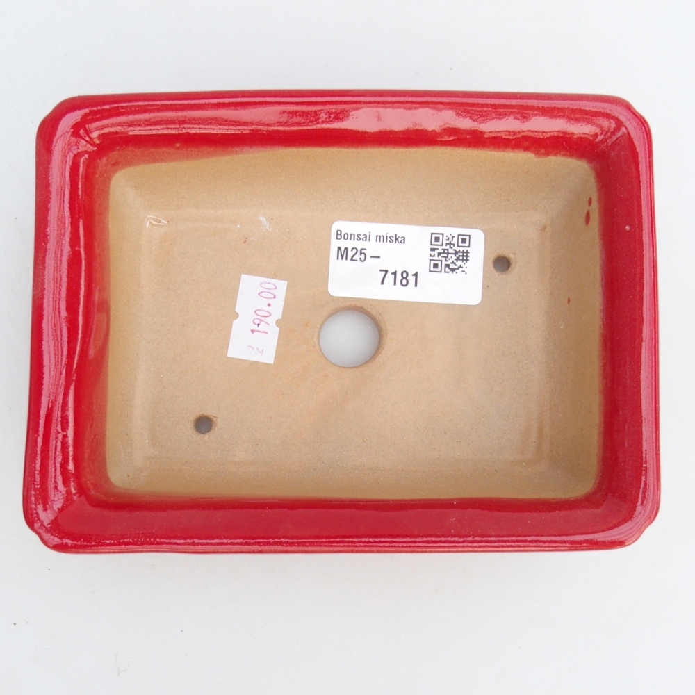 Cuenco bonsái de cerámica 14 x 10,5 x 4 cm, color rojo